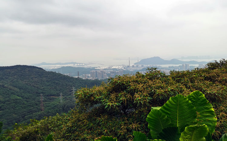 激扬青春、奋勇攀登登山活动